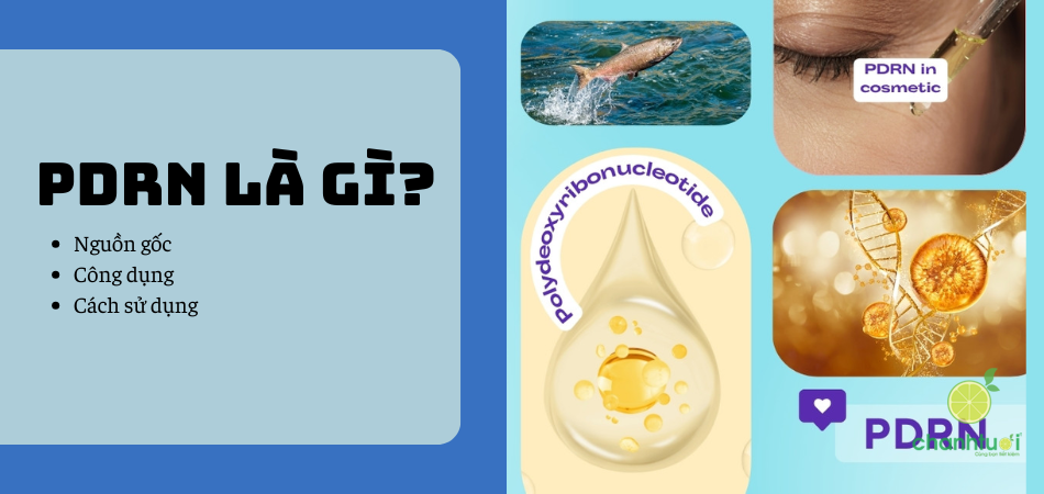 Giải mã PDRN là gì và vì sao hoạt chất này được ưa chuộng