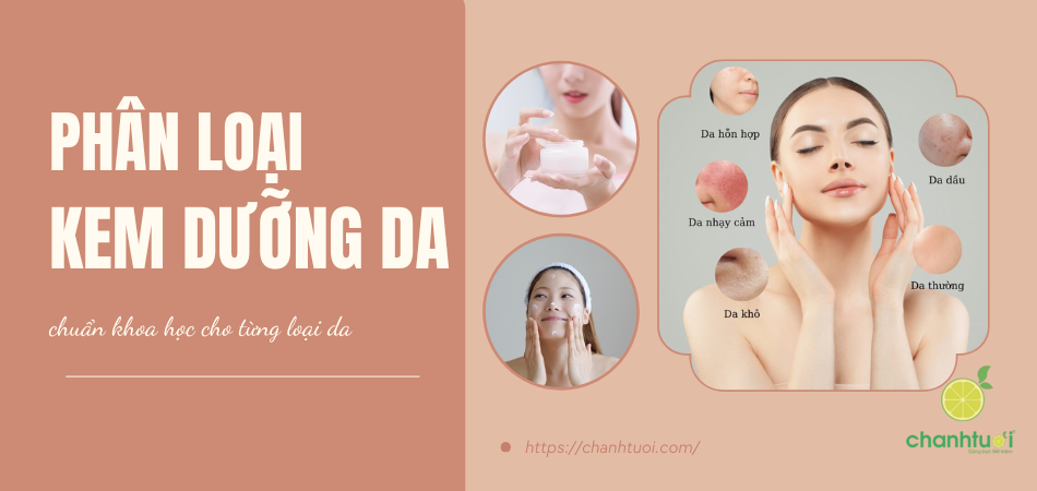 Phân loại kem dưỡng da chuẩn da liễu: da mụn, da dầu,...