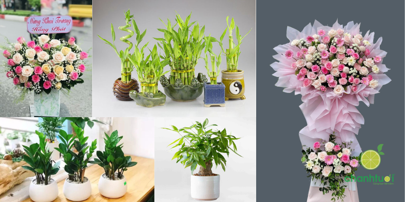 quà khai trương 2