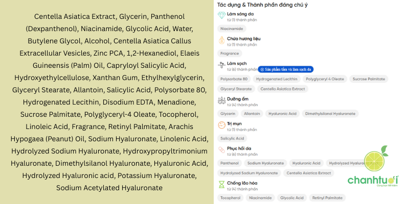 Serum Vitamin K Prettyskin thành phần