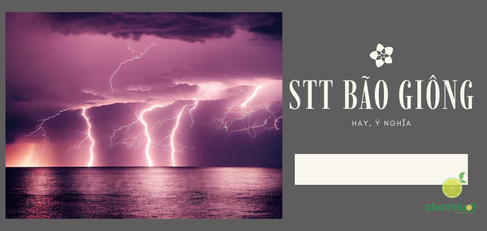 100+ STT bão giông, thổn thức tấm lòng người con xa quê