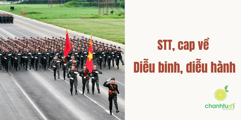 Stt, cap về diễu binh diễu hành 3