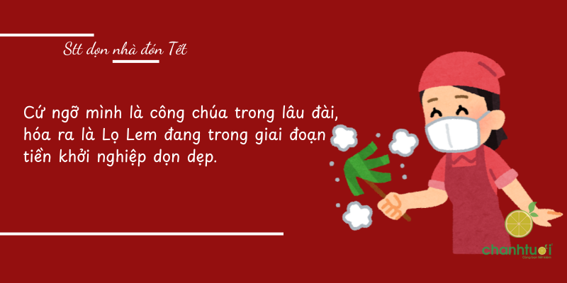 stt dọn nhà đón tết 4