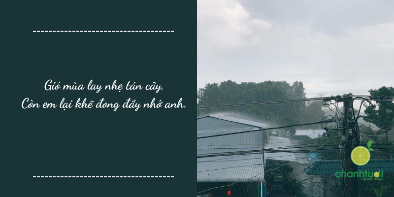 stt gió mùa về 1