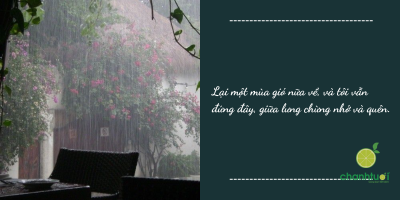 stt gió mùa về 2