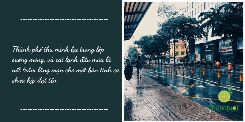 stt gió mùa về 5