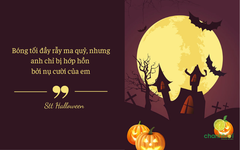 stt halloween hot trend