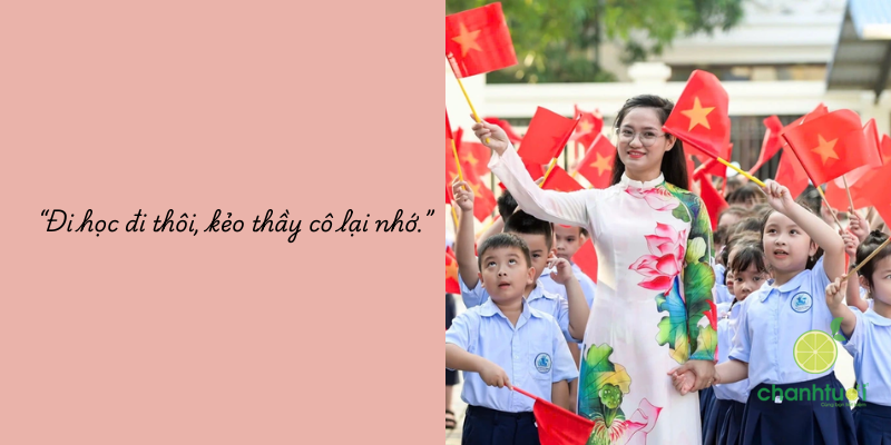stt khai giảng 2