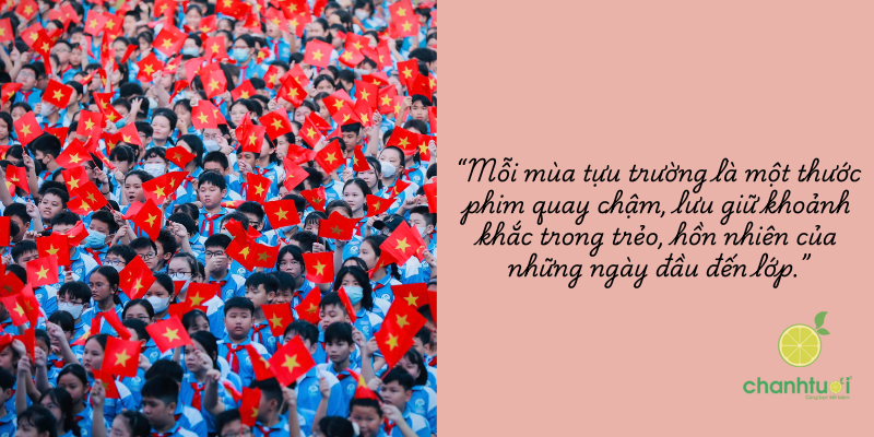 stt khai giảng 3