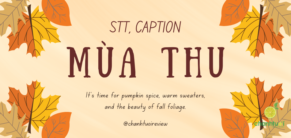 100+ STT mùa thu hay, lãng mạn, lay động trái tim người đọc