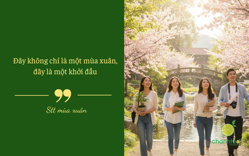 stt mùa xuân 1