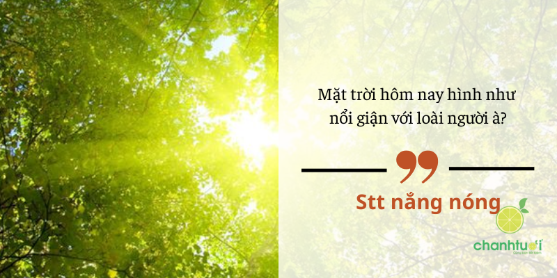 STT nắng 1