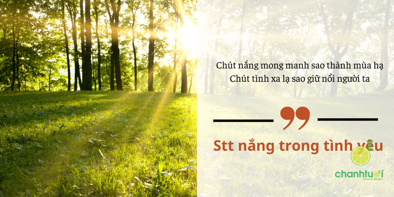 STT nắng 3