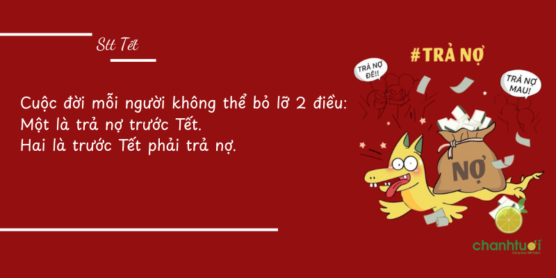 stt tết 2