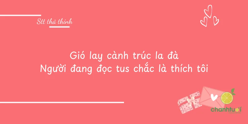 Gió lay cành trúc la đà Người đang đọc tus chắc là thích tôi