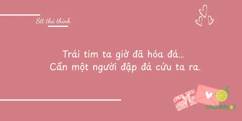 Quyết không tiêu từ giờ đến tết. Để dành tiền mua hết trái tim anh.