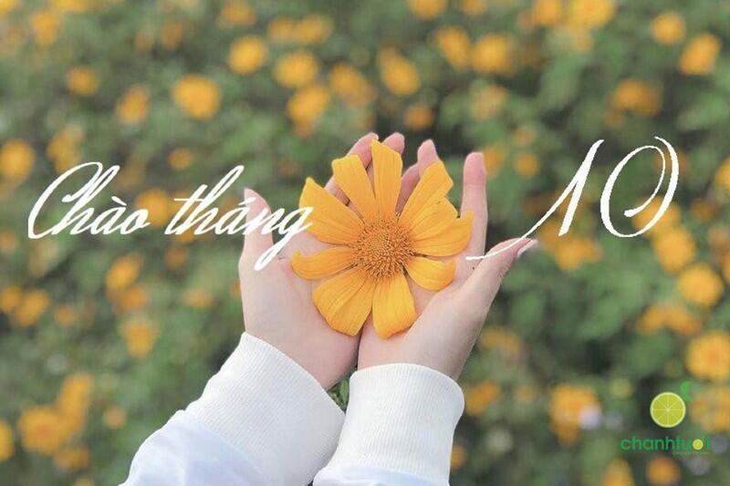 stt tháng 10 3