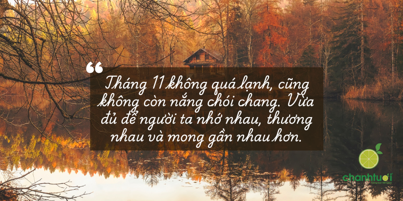 stt tháng 11 2