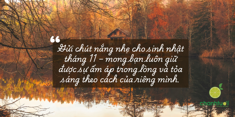 stt tháng 11 4