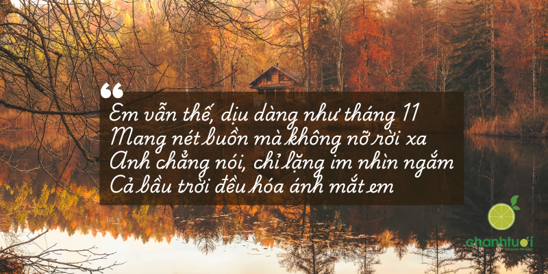 stt tháng 11 6