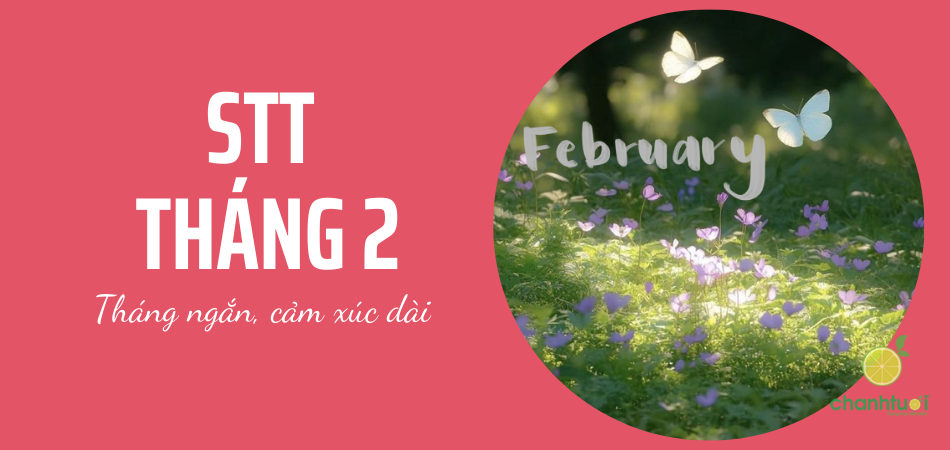 1001+ stt chào tháng 2 đầy ấn tượng, độc lạ, thu hút tương tác