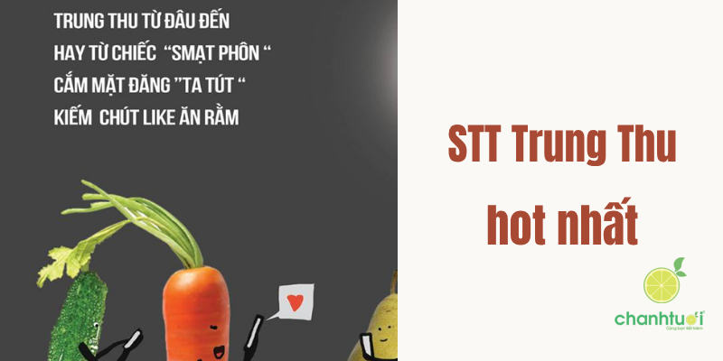 stt trung thu hot