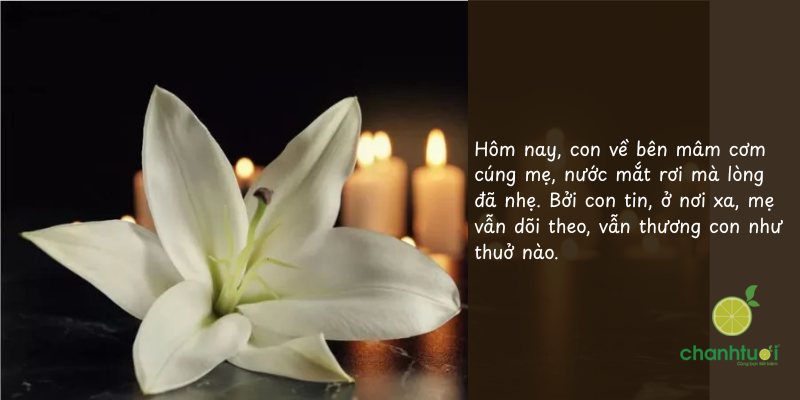 stt về ngày giỗ 3