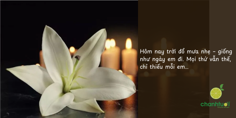 stt về ngày giỗ 4