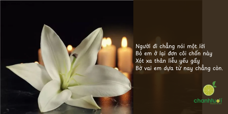 stt về ngày giỗ 5