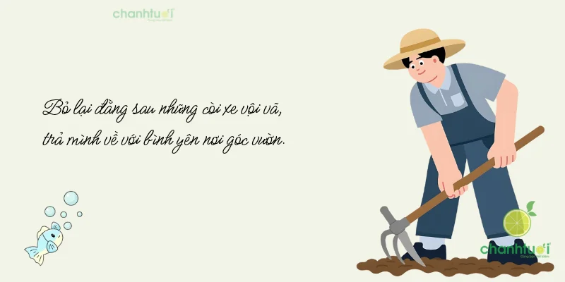 Sáng ra bờ hồ, tối vào hang... Deadline dí quá thì về làng trồng rau!