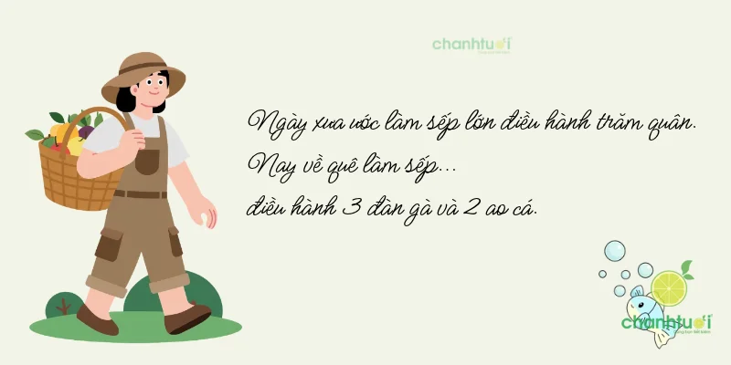 Cầm tấm vé trên tay em đi đến nơi xa, TP HCM đau sống lưng quá, về với miền quê...