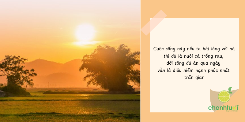 Stt về quê trồng rau nuôi cá 2