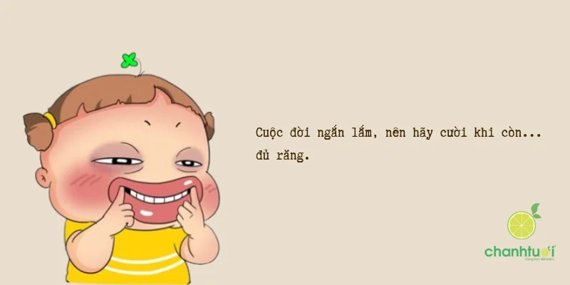 Lao động là vinh quang, nhưng lang thang thì... đỡ mệt.