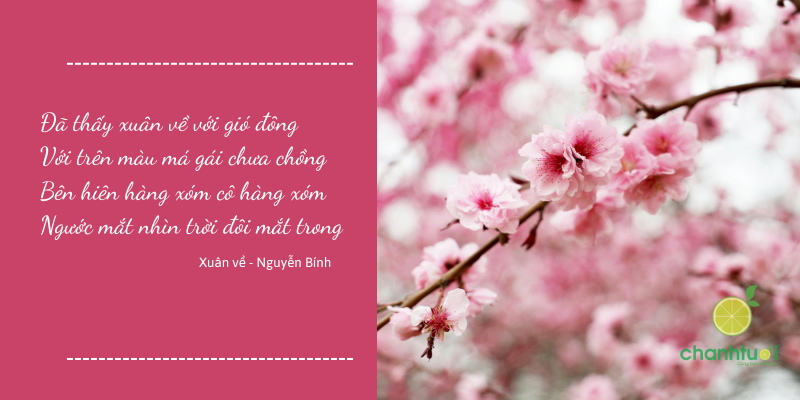 thơ về mùa xuân 3