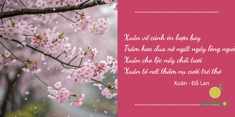 thơ về mùa xuân 4