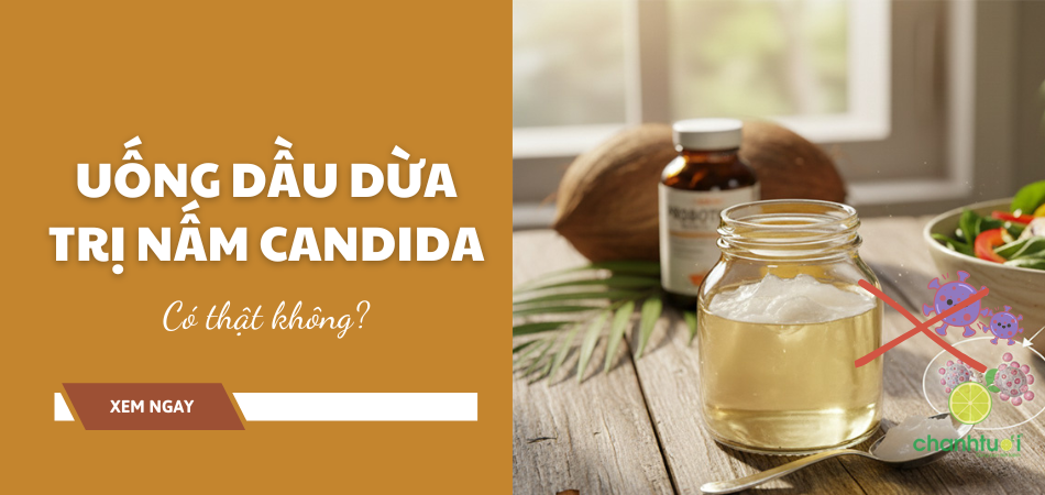 Uống dầu dừa trị nấm Candida: Thực hư hiệu quả ra sao?