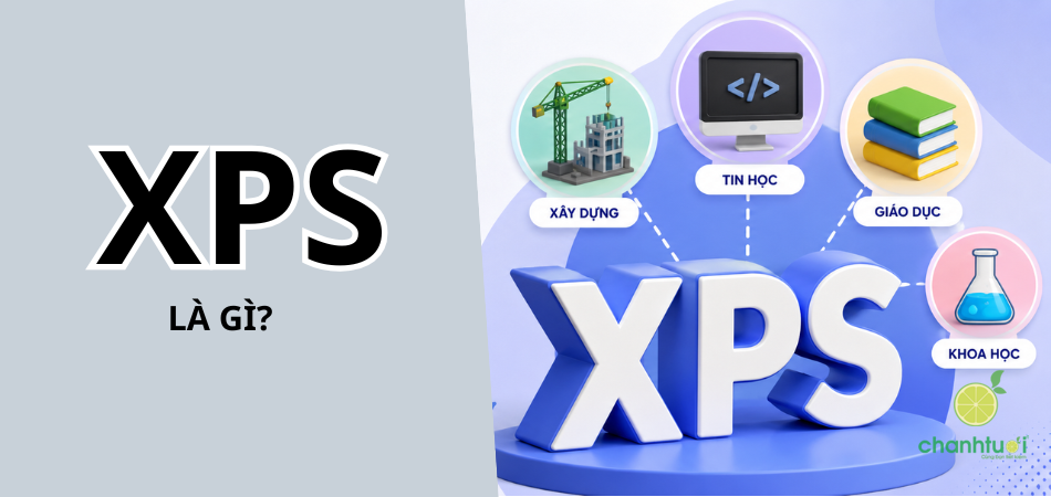 XPS là gì? Giải mã ý nghĩa XPS trên MXH và các lĩnh vực