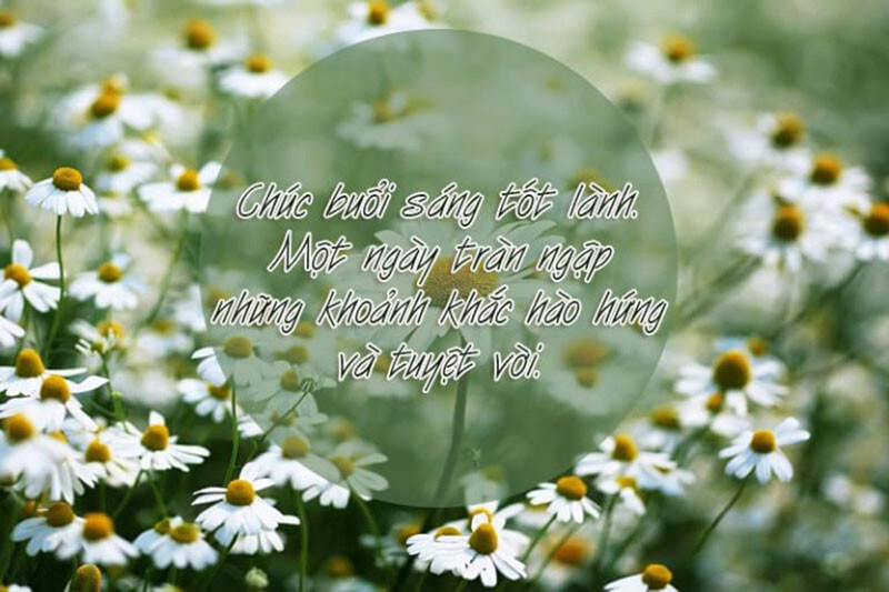 chuc-ngay-moi-tot-lanh-3