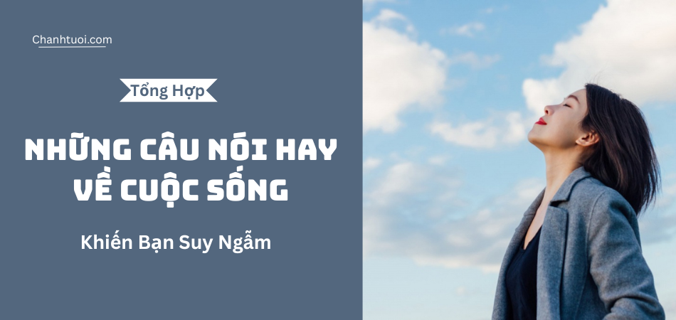 Những câu nói hay về cuộc sống giúp người đọc vui vẻ, yêu đời hơn