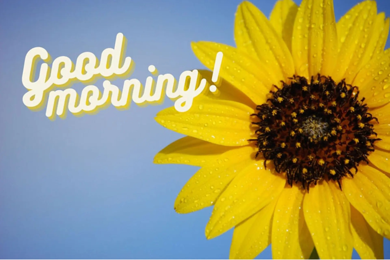 stt chào ngày mới thả thính (1)-1