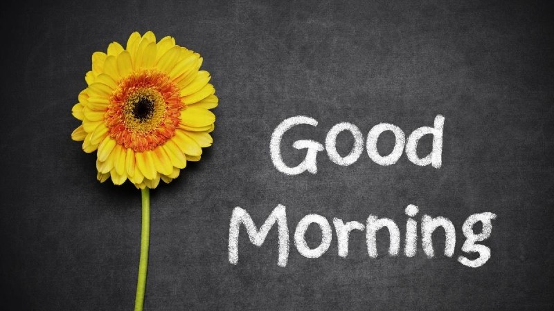 stt chào ngày mới thả thính