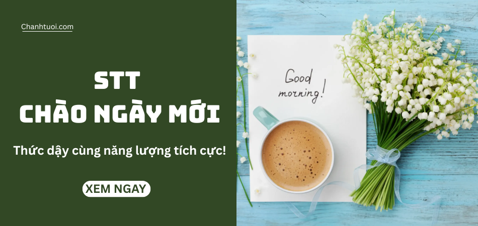 99+ STT chào ngày mới, lời chúc ngày mới hay, hài hước đầy năng lượng