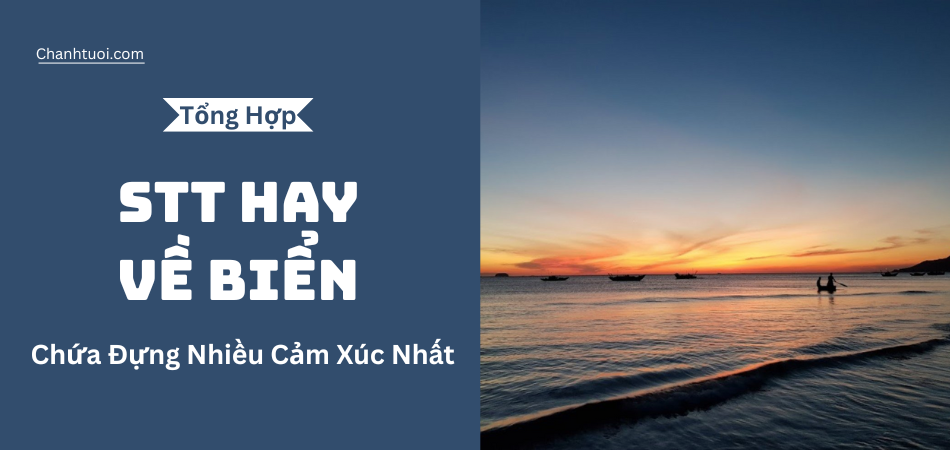 999+ Câu nói hay về biển ý nghĩa, chứa đựng nhiều cảm xúc nhất