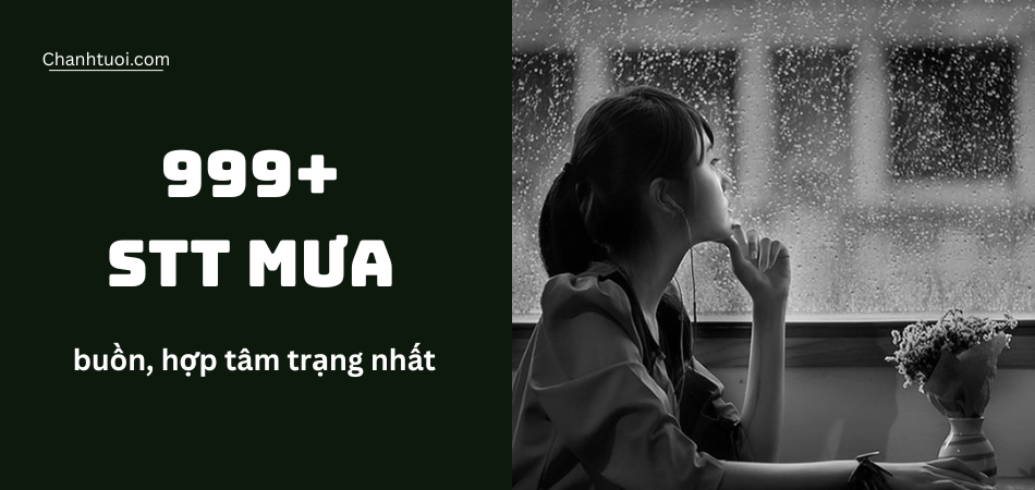 999+ stt mưa buồn, cap về mưa hợp tâm trạng, chạm đến tận sâu tâm hồn