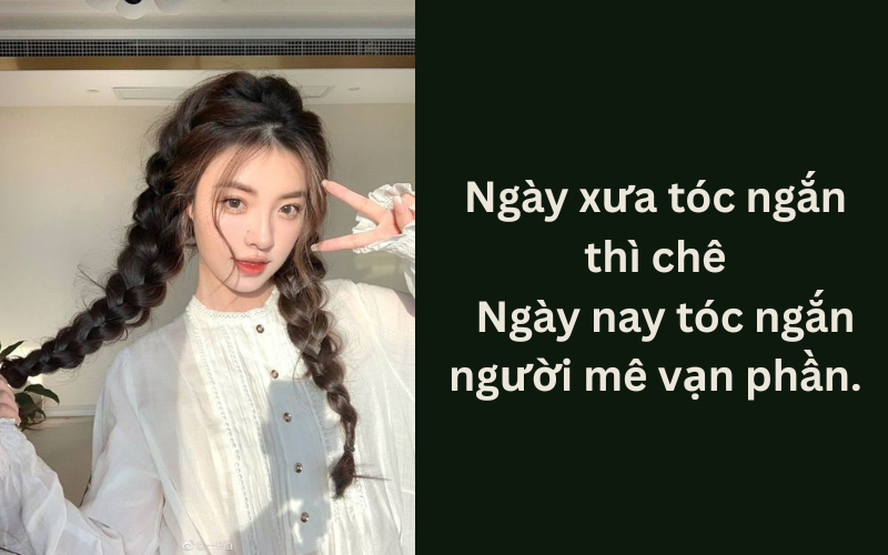 stt về tóc (1)