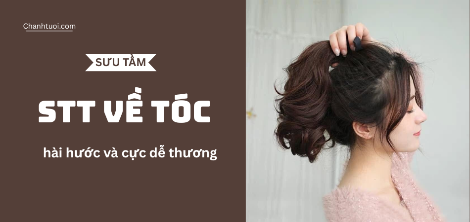 99+ Stt hài hước về tóc, cap thả thính hay về tóc dài, tóc ngắn