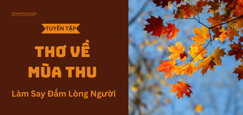 Tuyển tập 20 bài thơ về mùa thu hay và đặc sắc trong những ngày thu