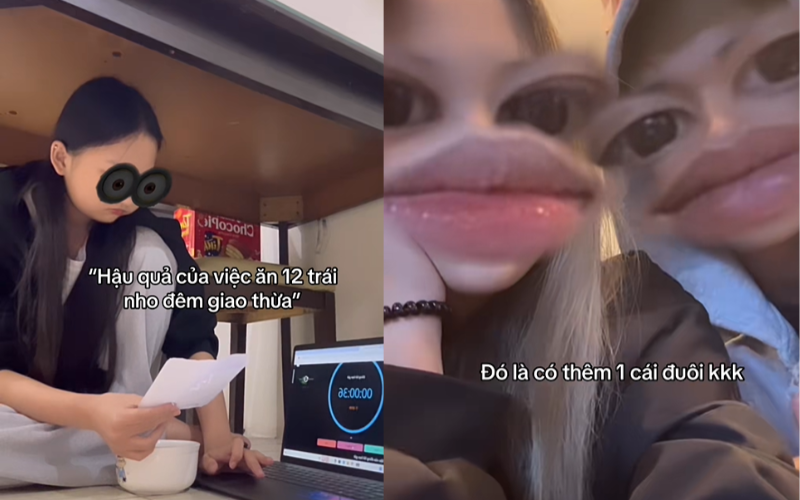 ăn nho dưới gầm bàn 3