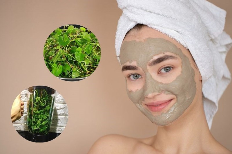 cách làm mặt nạ rau má