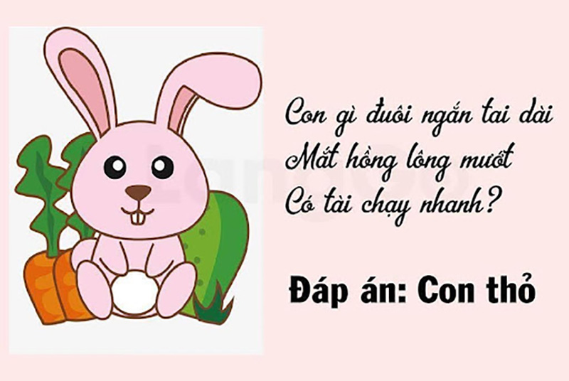 câu đố về con vật cho mọi lứa tuổi 5-1